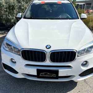 mobile_auto_glass_replacement_professionals